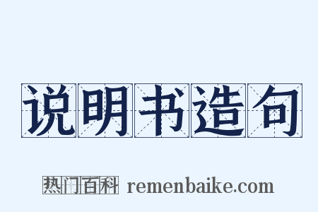 说明书造句是什么意思的图片